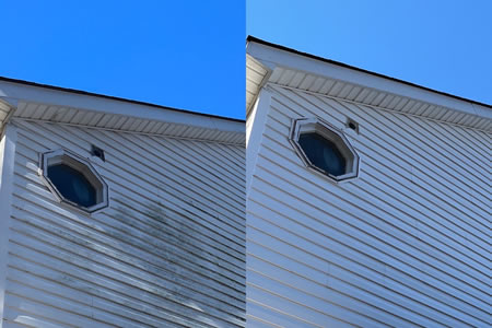 Green algae streaks on vinyl siding of a charlotte nc home