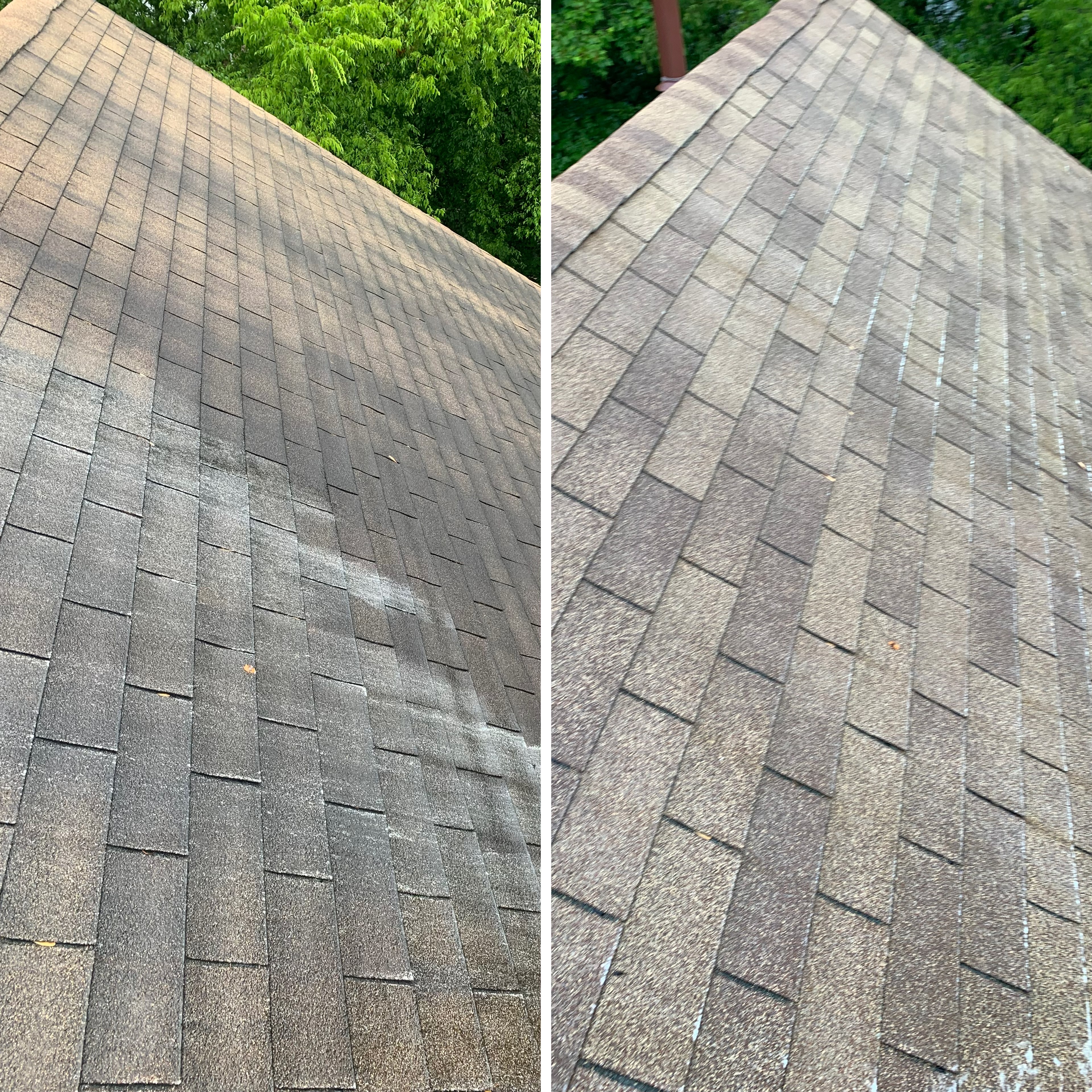 The Best Roof Cleaning in Charlotte, NC